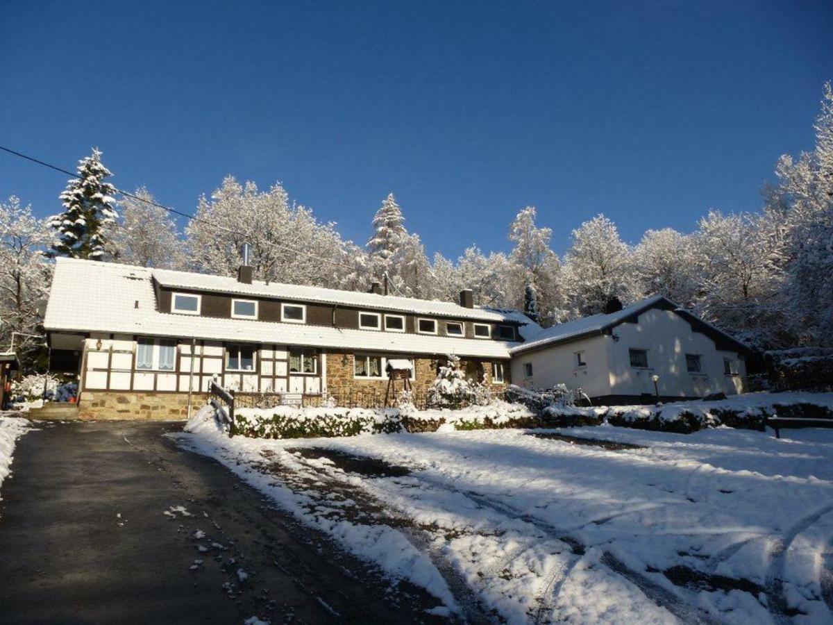 Апартаменти Haus Sonnentau Моншау Екстер'єр фото